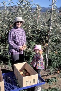 Hood River valley abounds with fruit orchards as well as vineyards. Photo by Peter Marbach