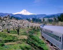 Travel aboard the Mt. Hood Railroad. Photo by Peter Marbach