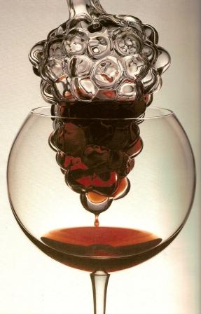 Photo by Rudy Muller