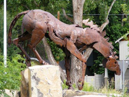 Welcome to Random Shots