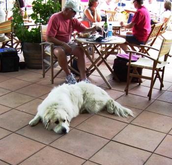 The one and only Potter