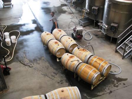 The barrel and tank room