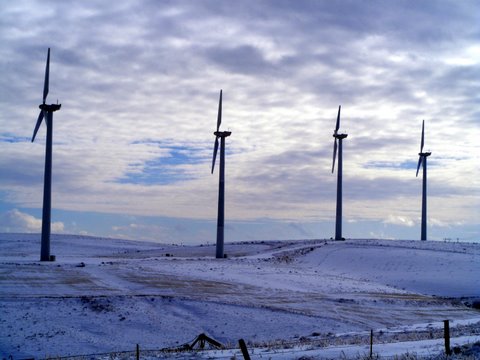Turbines - Photo by Larry Neugart