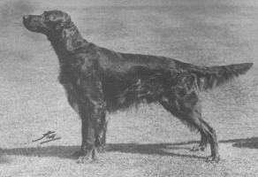 Wendover Gentleman (UK)
