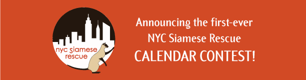 NYC-SRC banner