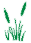 EGrass Email