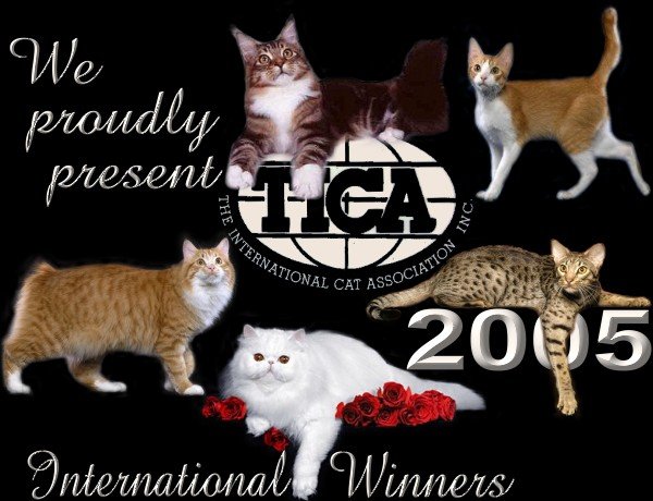 2005 International Winners