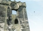 tower
