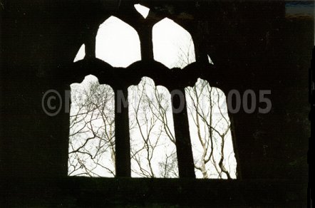 silhouetted window