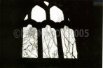 silhouetted window