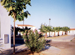 Plaza
