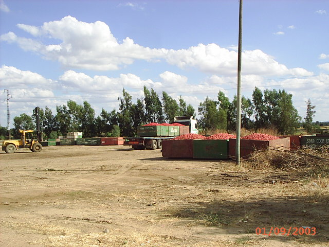 Fotohe 80