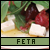 Feta