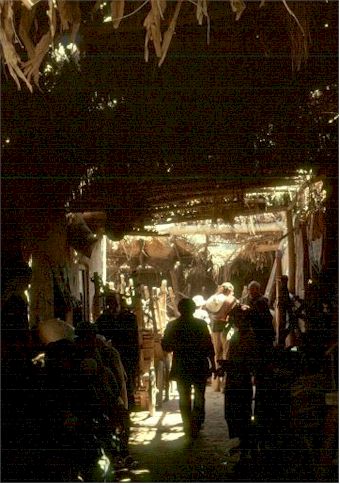 market213.jpg (43903 octets)