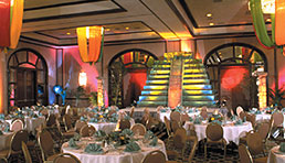 Fine dining and night life