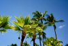 Maui, Hawaii