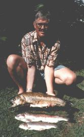 Some Big Trout
