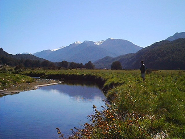 Eglinton side creek