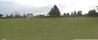 Bare ground
