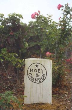 Moet vineyard sign