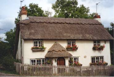 Thatched cottage - New Forest