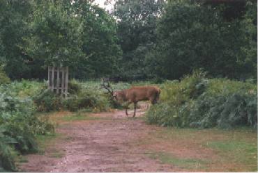 Don't cross my path!