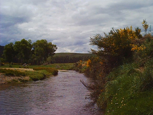 Waitahuna River