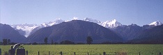 Mount Cook from the lookout just outside Fox Township