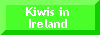 Kiwis in Ireland
