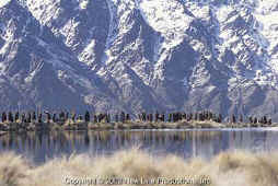 Set location South Island New Zealand