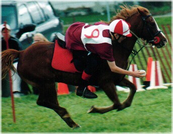 Shawn Dunn riding Red