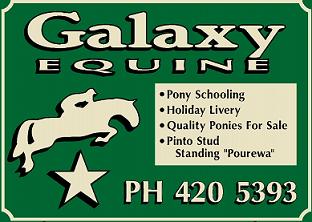 www.galaxyequine.co.nz