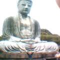 can u spot emma? kamakura buddah