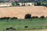 Crop circle near Uffington white horse