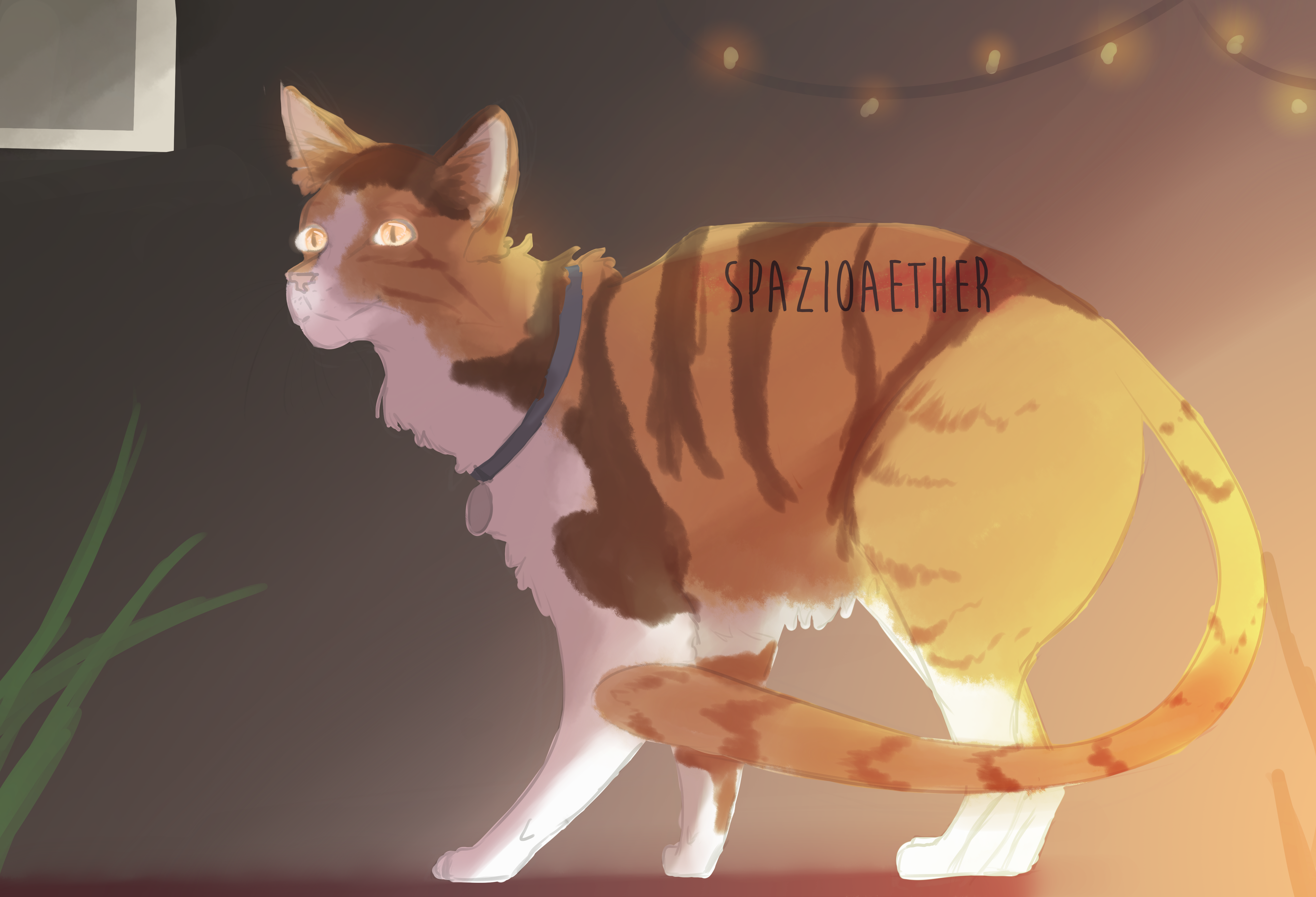 housecat