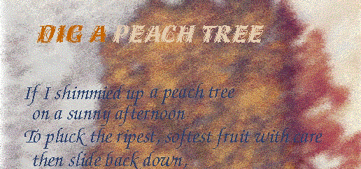 DIG A PEACH TREE If I shimmied up a peach tree on a sunny afternoon to pluck the ripest, softest fruit with care, then slide back down