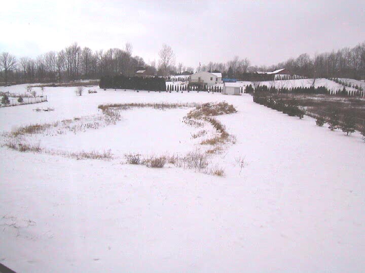 Anyone see the pond?