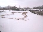The back yard would be GREAT for snow hovering....
