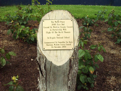 millennium rosebed