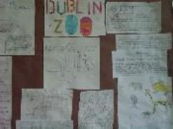 project