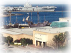 ccmuseum.jpg (11423 bytes)