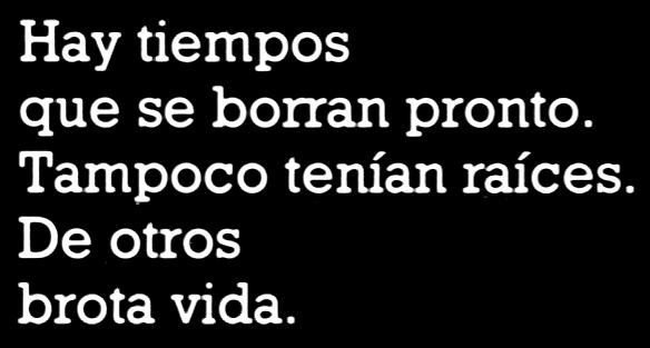 Ir a texto palabras del Sto. Padre Juan Pablo II