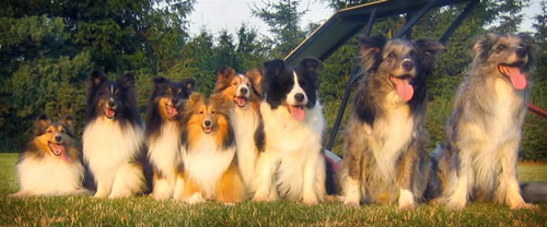 Hob-b and friends