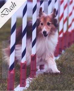 OBay Dunstanburgh Dasher - Dasher 1992-2008