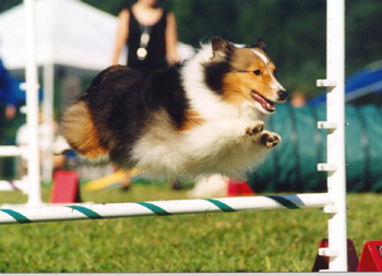 Jordan jumping