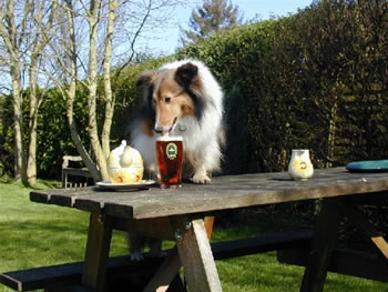 True meets beer