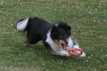 Hex's wicked side ... Hex and toy