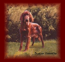 Buster