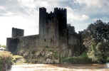 cahir_castle1.jpg (63210 bytes)