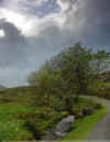 dark_sky.jpg (76467 bytes)
